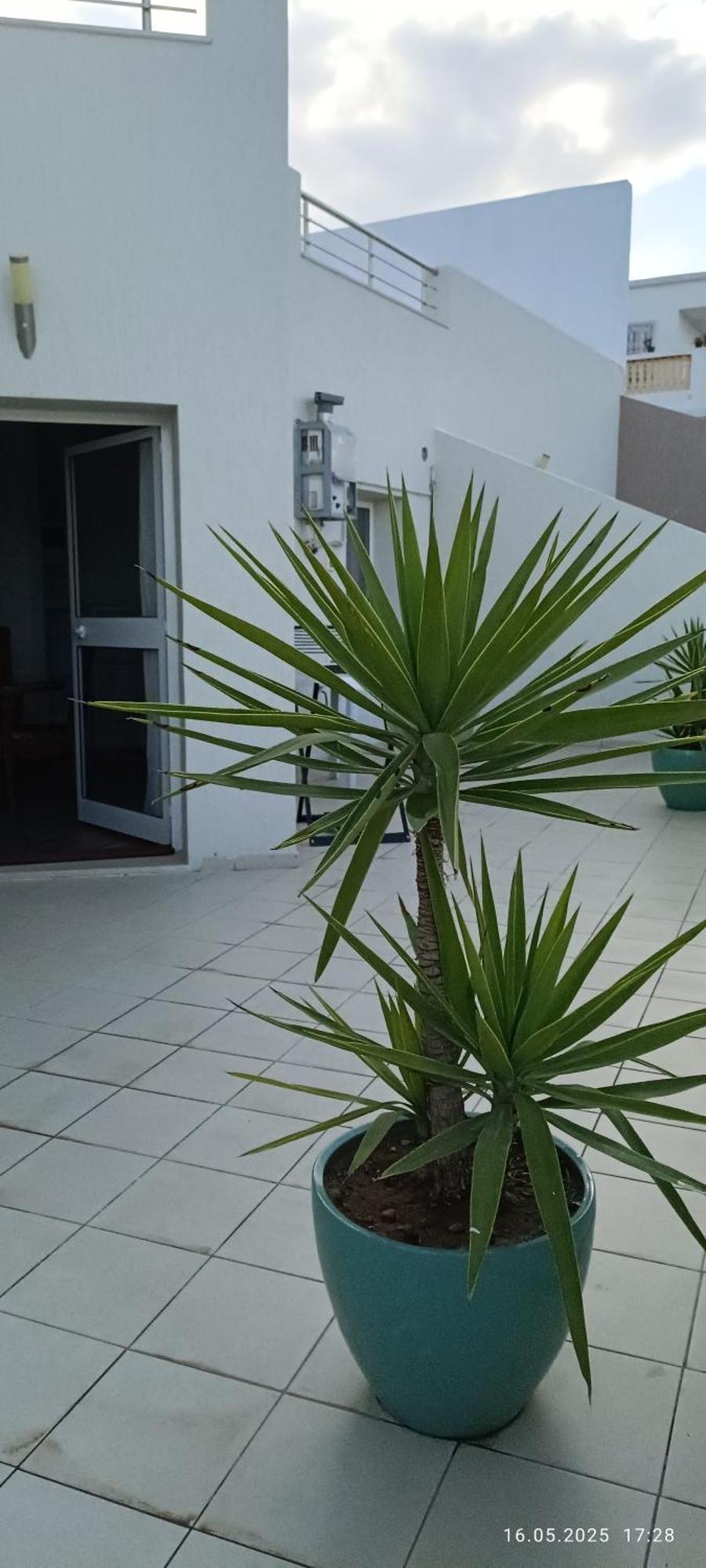 Residence Debbabi Sans Coupure D'Eau Monastir Pokoj fotografie